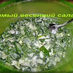 Самый весенний салат