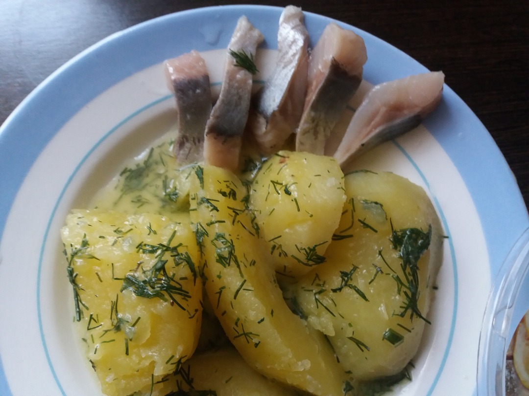 Картошка с майонезом, чесноком и сыром в духовке – пошаговый рецепт