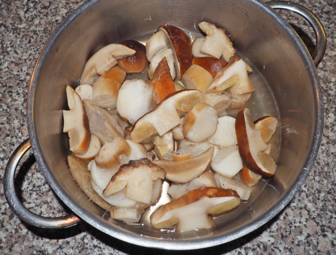 Жюльен из белых грибов, пошаговый рецепт на ккал, фото, ингредиенты - Надежда