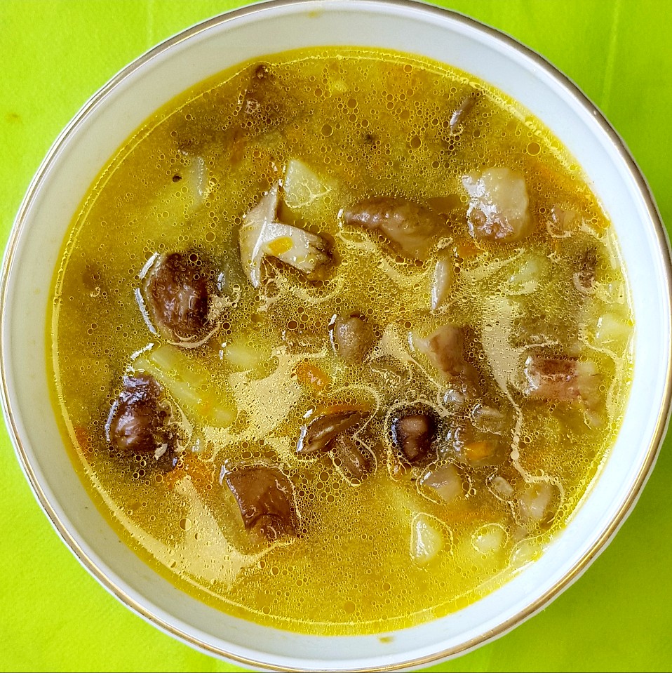 Грибной суп из маслят - рецепт автора Надежда Чанцева