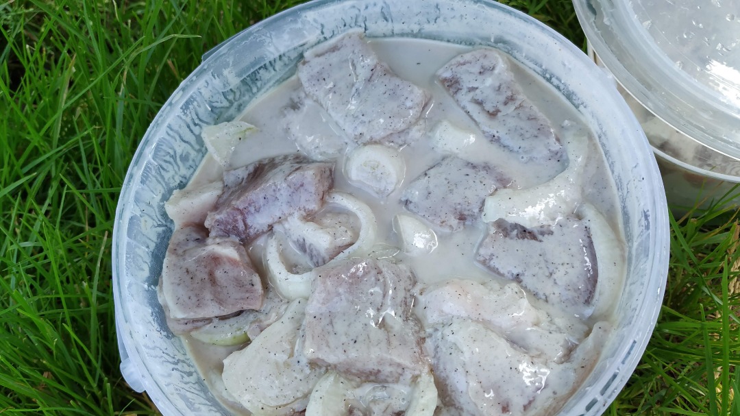Шашлык из свинины с кефиром и луком рецепт – Американская кухня: Основные блюда. «Еда»