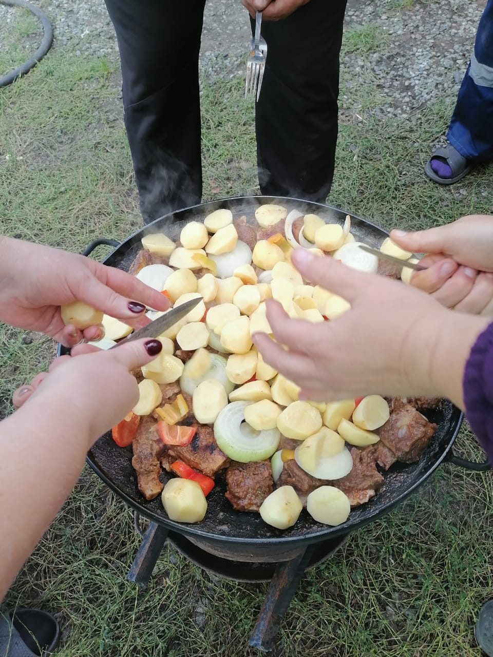 Овощи с мясом на костре