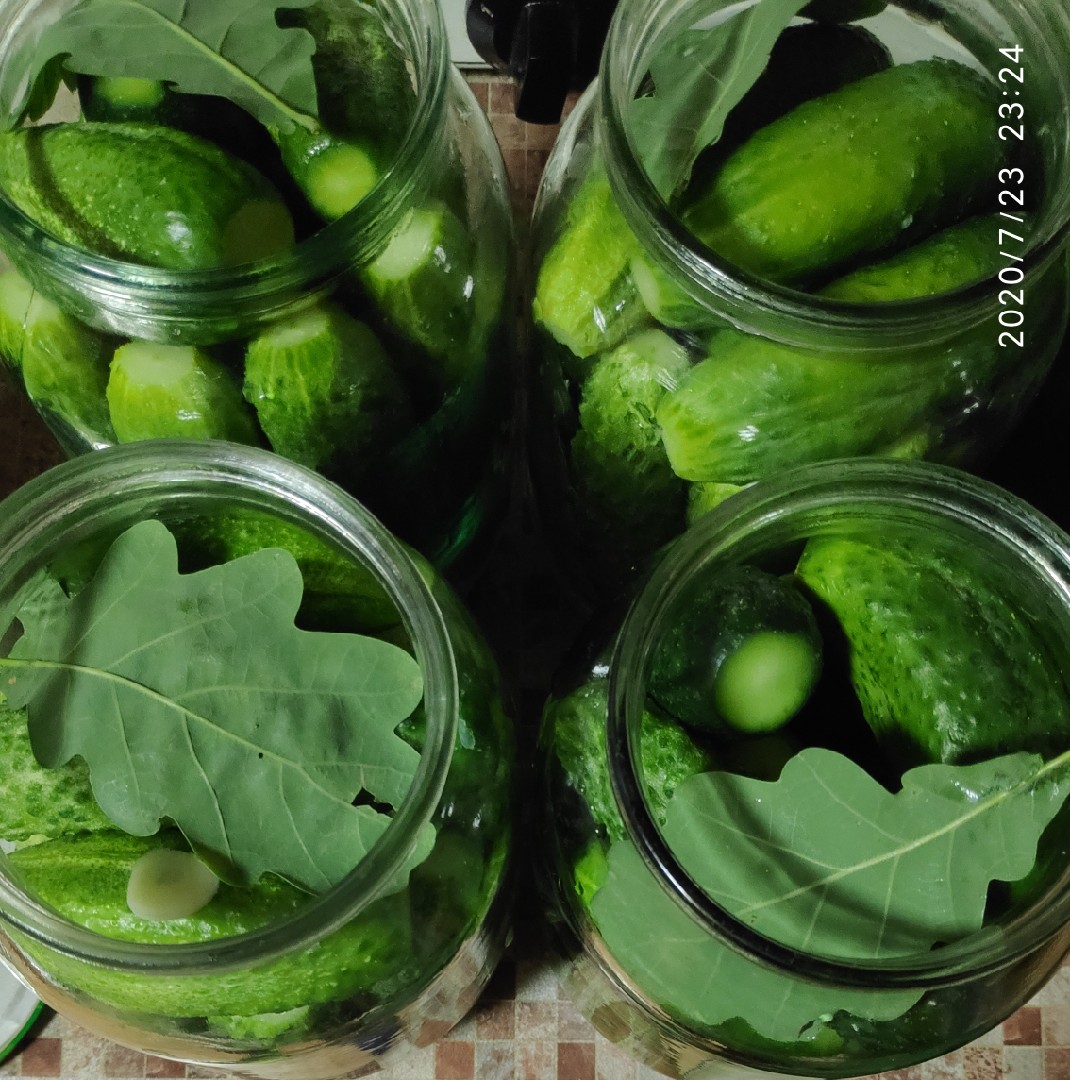 Маринованные огурцы с листьями дуба по-польски🌿🥒