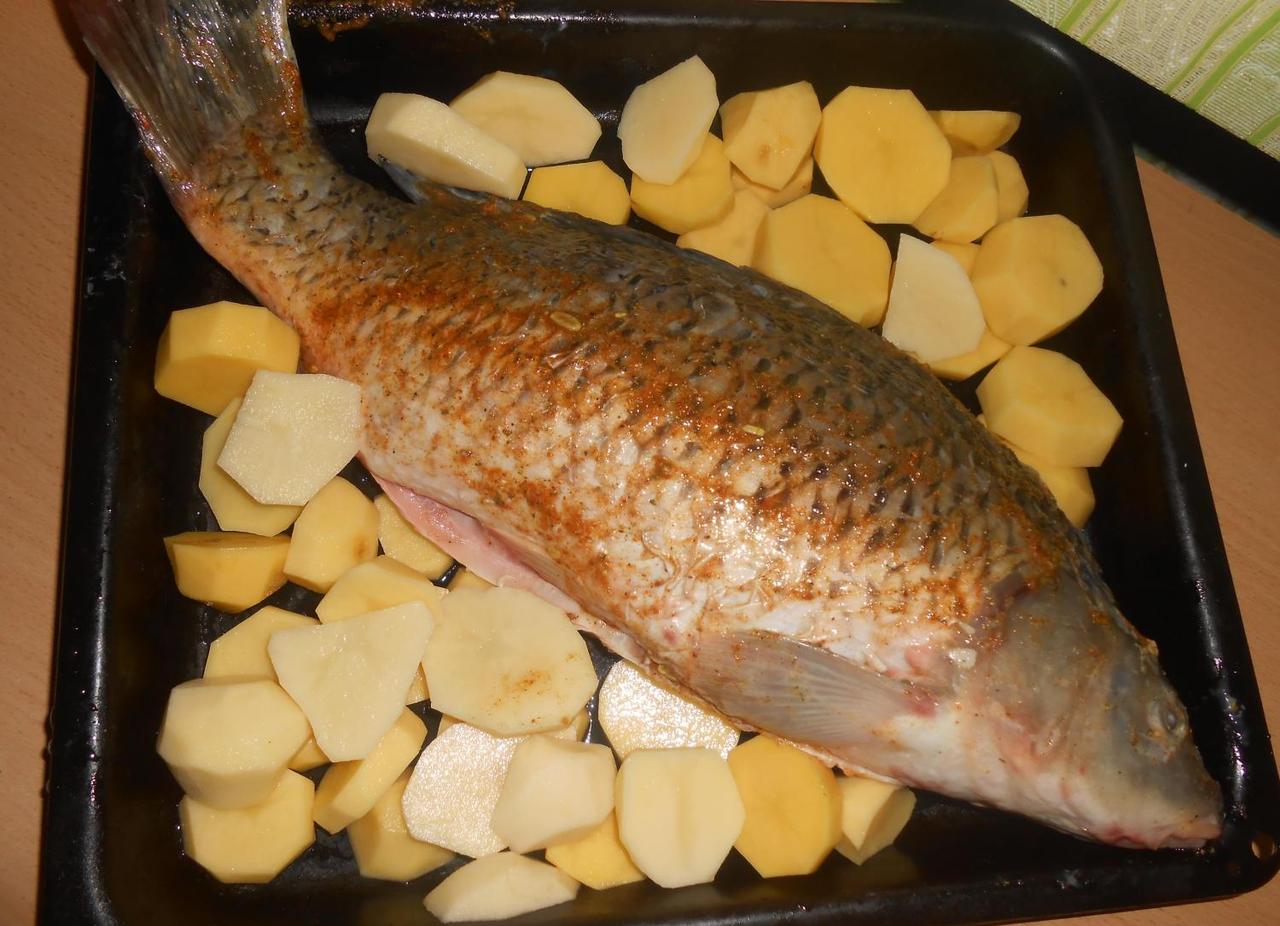 Сазан, запечённый в фольге (пошаговый рецепт приготовления рыбы в духовке с фото)