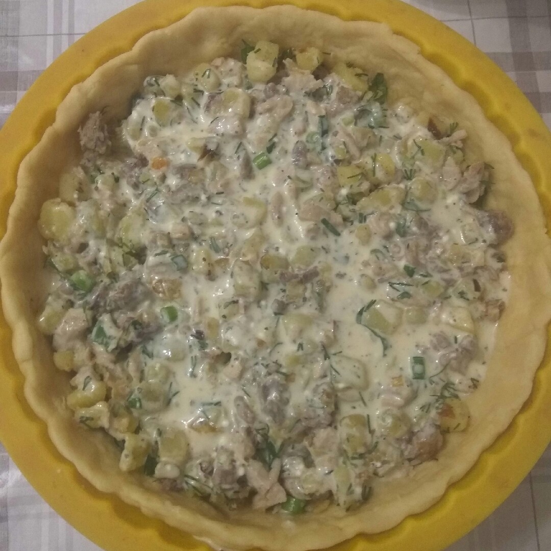 Открытый мясной пирог с курицей