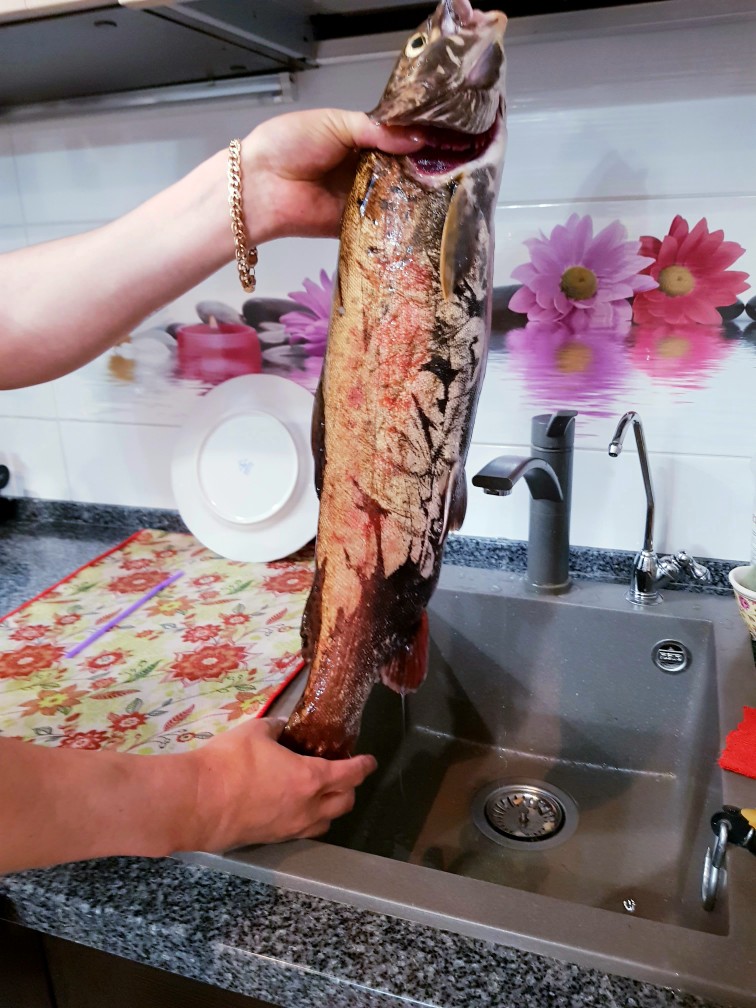 Таёжная кухня. Ленок на шампуре. Как правильно приготовить рыбу.