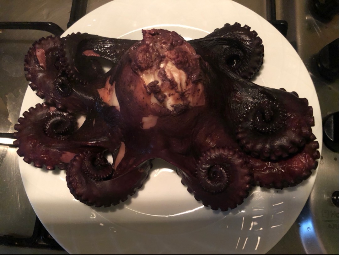 Осьминог на гриле 🐙