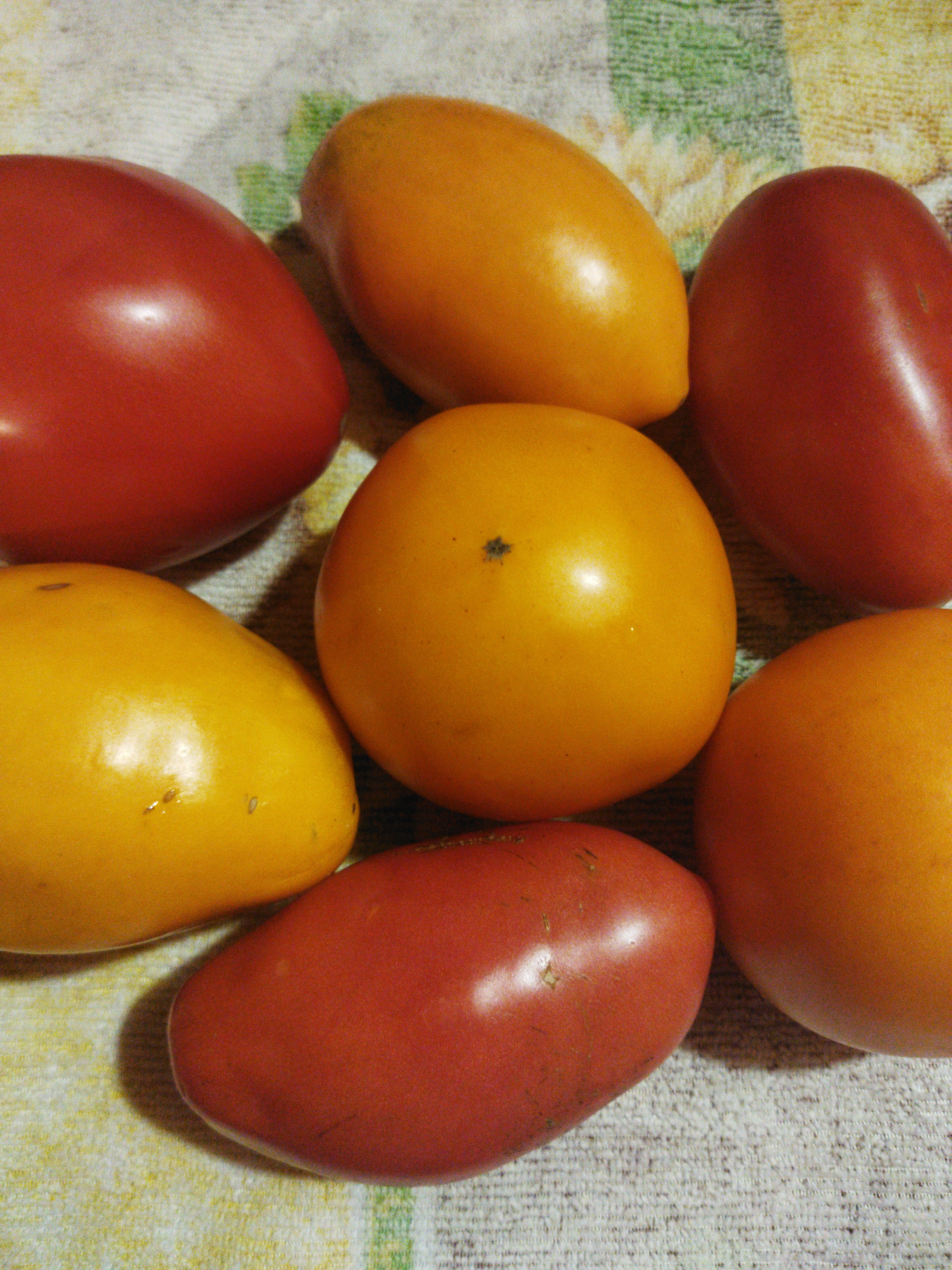 Маринованные помидоры дольками с луком и маслом на зиму