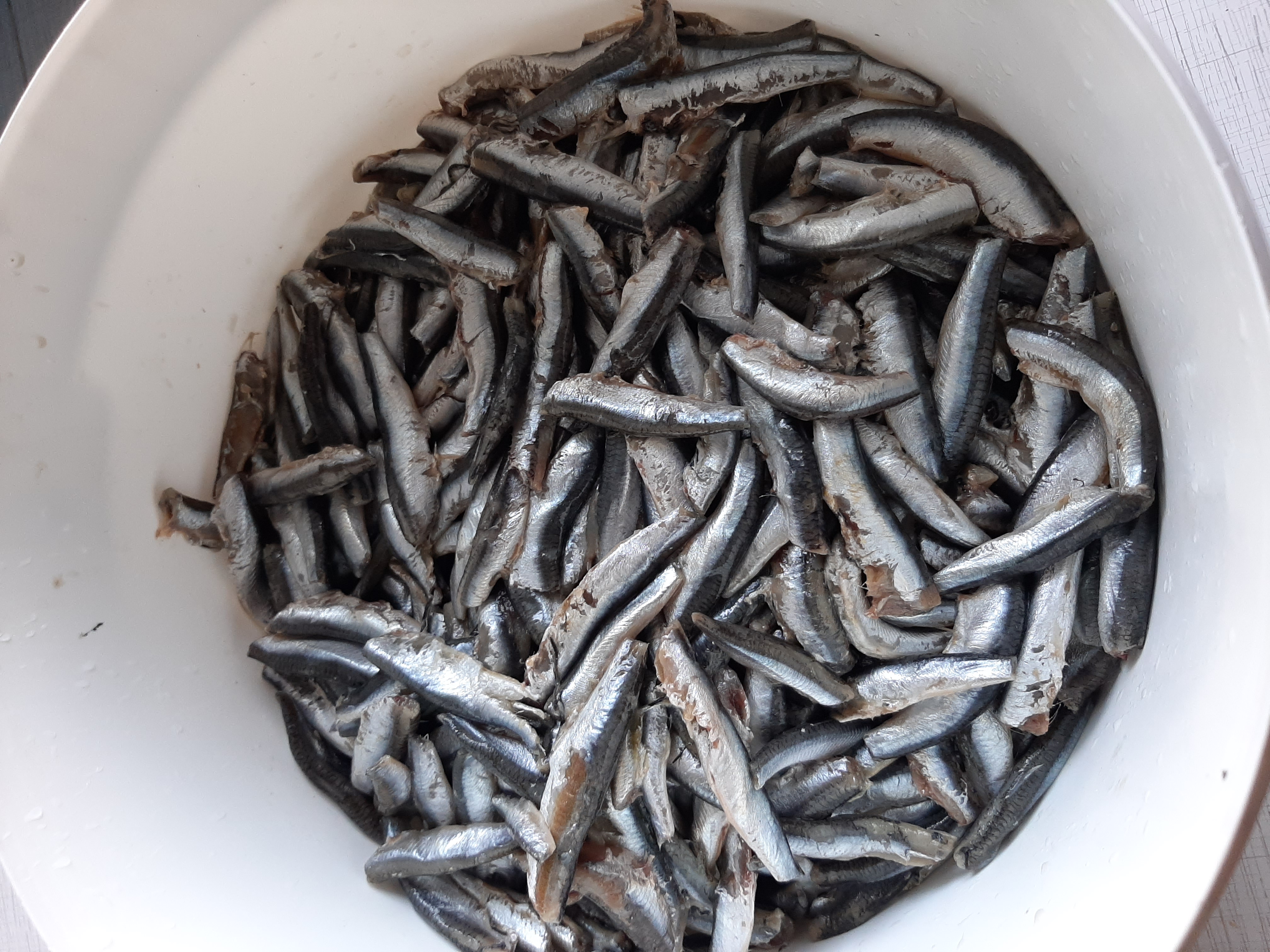 Рыба в автоклаве: 9 рецептов на любой вкус | Домашний Заготовщик | Дзен