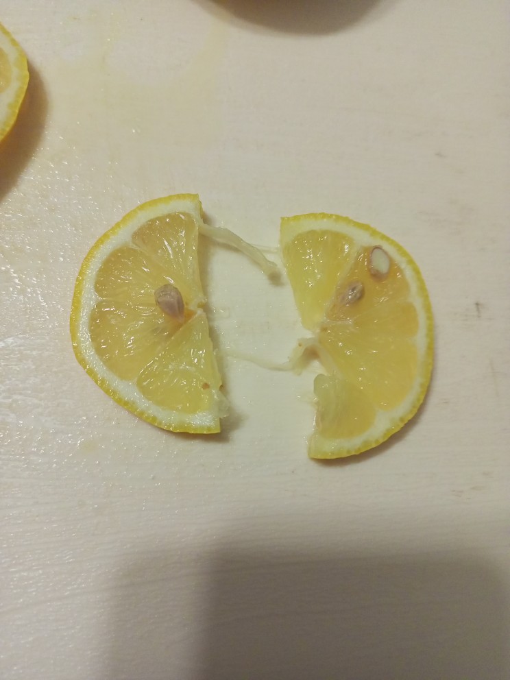 Засахаренные Лимоны
