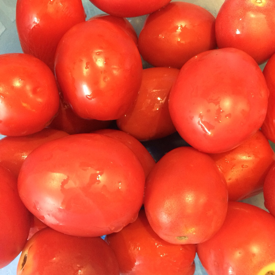 Лечо из перца и помидоров на зиму - 5 простых рецептов с фото пошагово