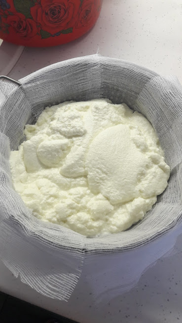 Адыгейский сыр в домашних условиях - рецепт с пошаговыми фото