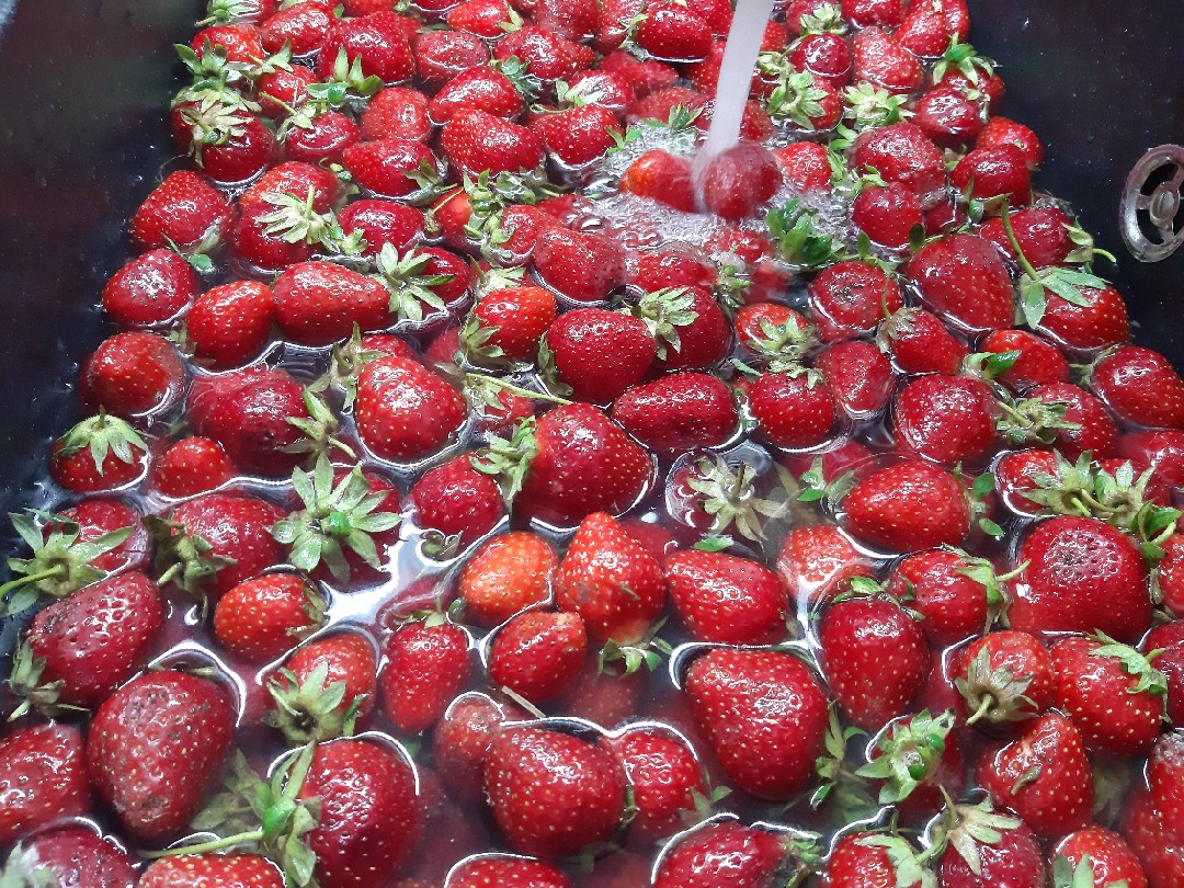 Клубника с сахаром без варки на зиму рецепт с фото пошаговый от ОКСАНА  🍓🍓🍓🌳 - Овкусе.ру