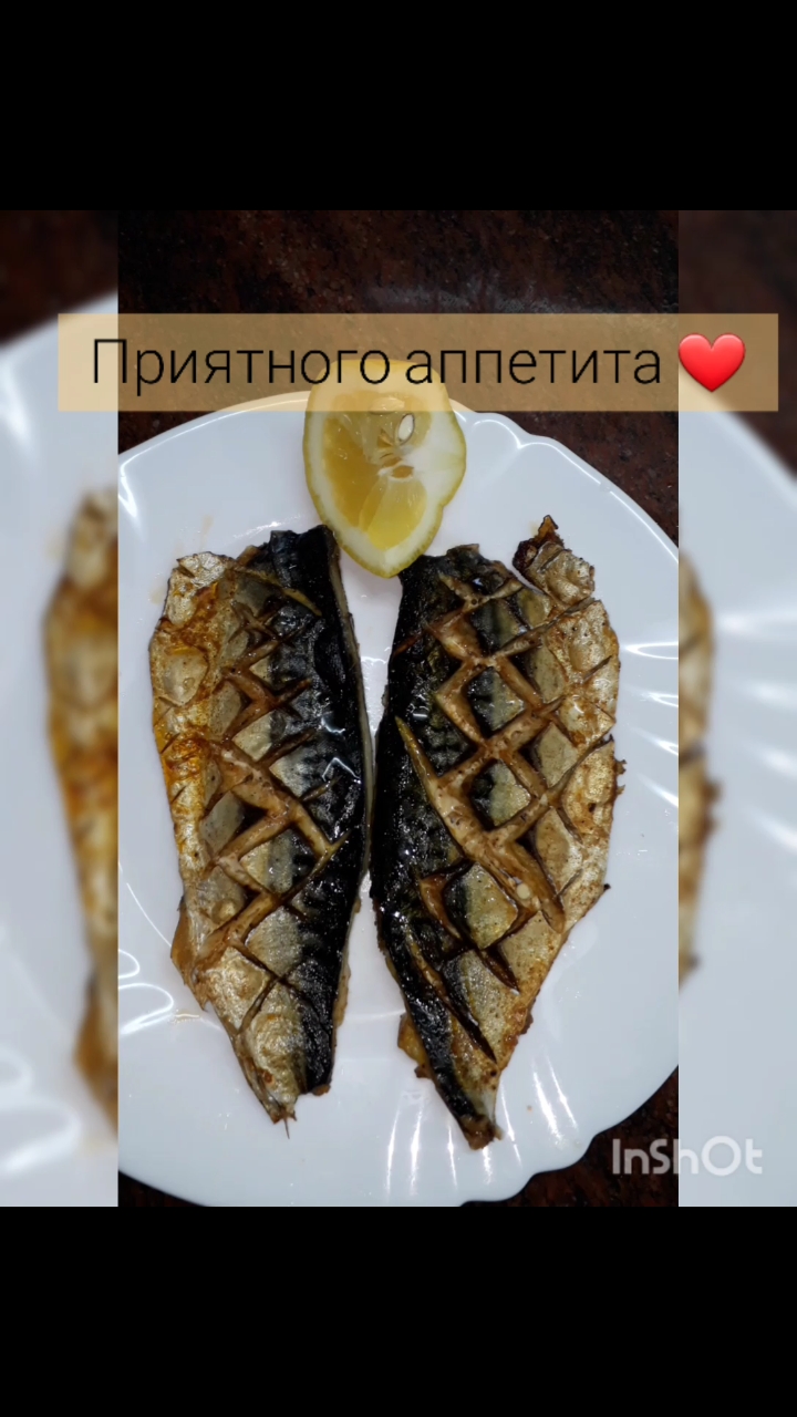 Скумбрия 