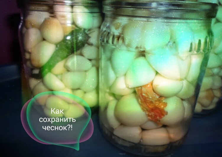 Как сохранить очищенный чеснок в масле и сколько можно хранить?