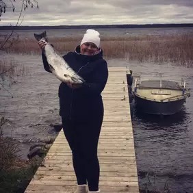 Буженина из куриной грудки — рецепт с фото пошагово. Как приготовить буженину из курицы?